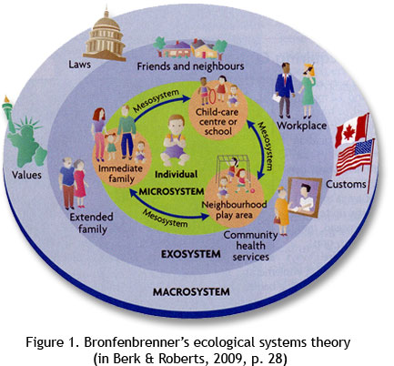 shop developmental plasticity behavioral and biological aspects of variations